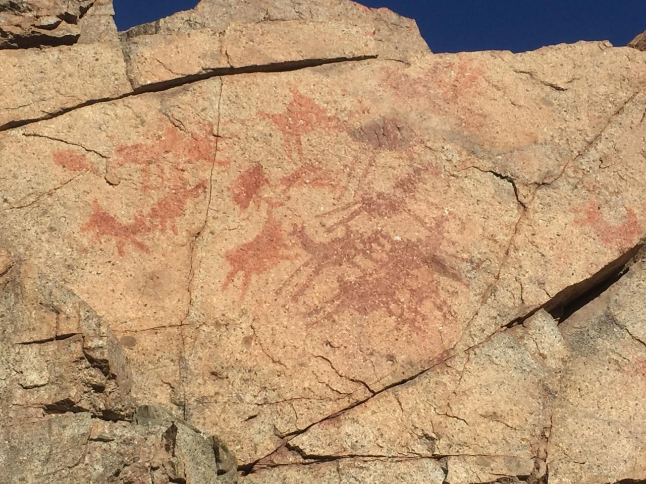 “Panel de pintura rupestre con motivos zoomorfos en quebrada Finca de Chañaral, Ruta del Despoblado de Atacama, Subtramo Portal del Inca - Finca Chañaral, Comuna de Diego de Almagro, Región de Atacama”