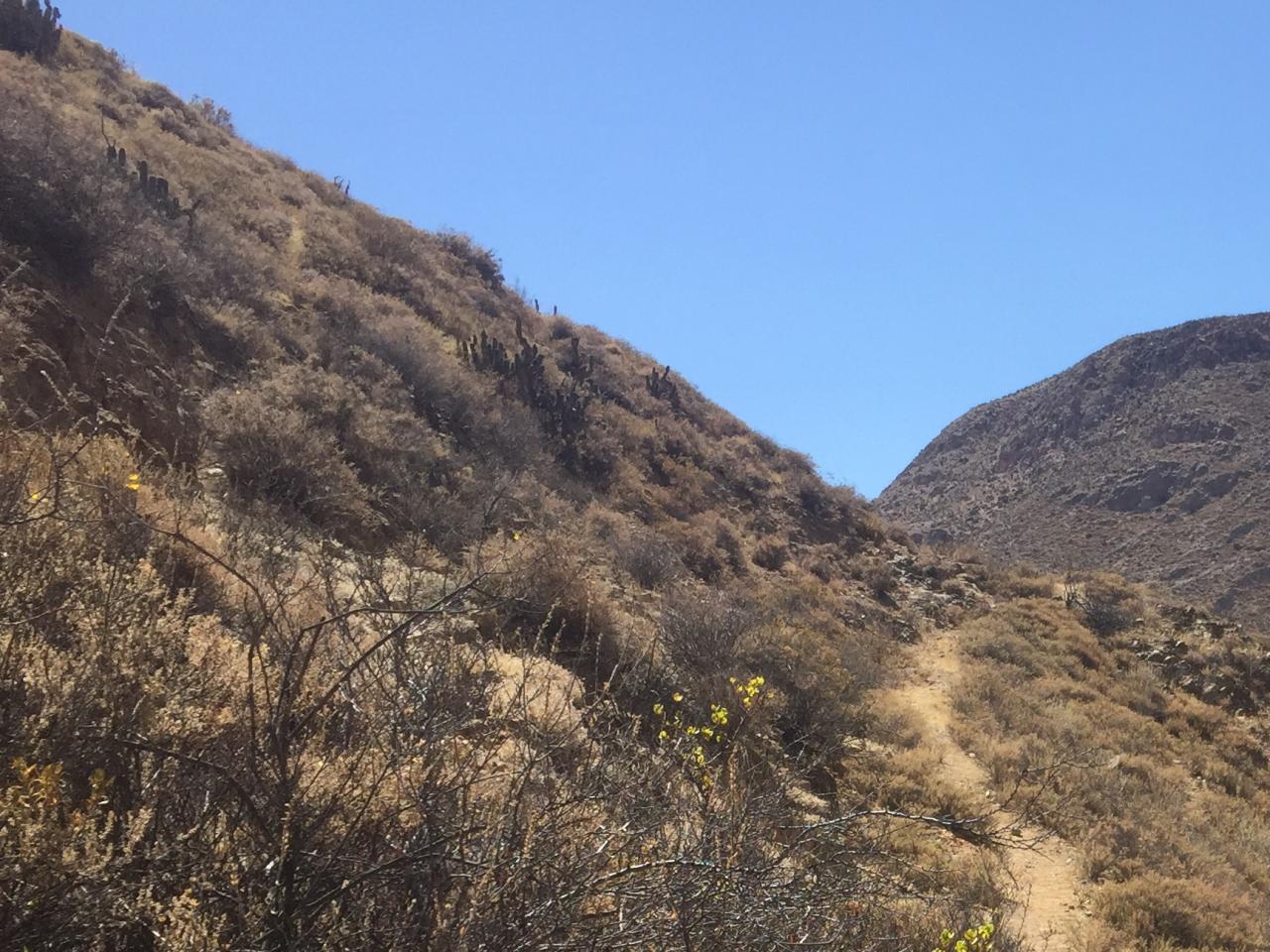 “Camino formado por despeje superficial, avanzando por ladera de cerro al sur de Putre, Ruta de la Sierra, Subtramo Putre - Zapahuira, Comuna de Putre, Región de Arica y Parinacota”