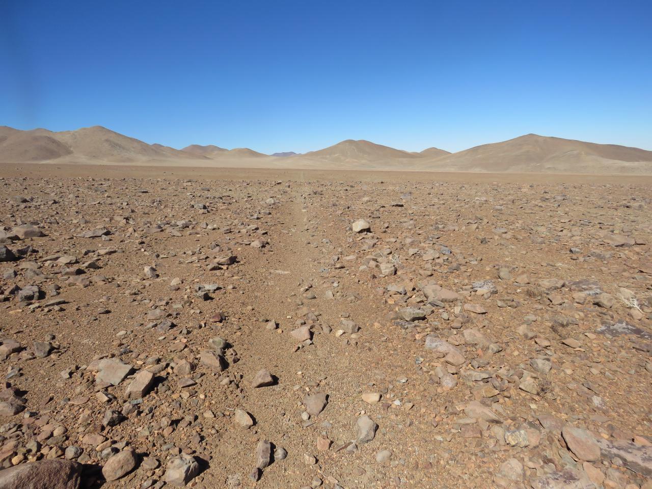 “Camino formado por despeje superficial en sector Pampa del Inca, Ruta del Despoblado de Atacama, Subtramo Portal del Inca – Finca Chañaral, Comuna de Diego de Almagro, Región de Atacama”